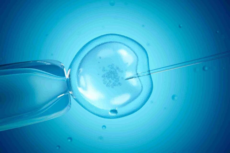 IVF: കേട്ടതൊക്കെ സത്യമാണോ? സത്യാവസ്ഥ അറിയാം. IVF: Is everything you've heard true? We know the truth.